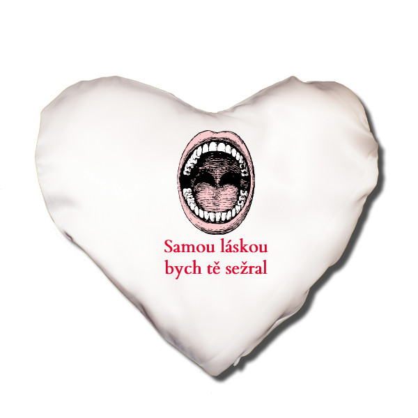 Polštář SRDCE s potiskem Polštářek z lásky